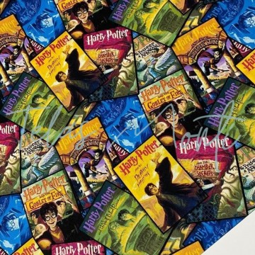 Tela de Harry Potter Carteles